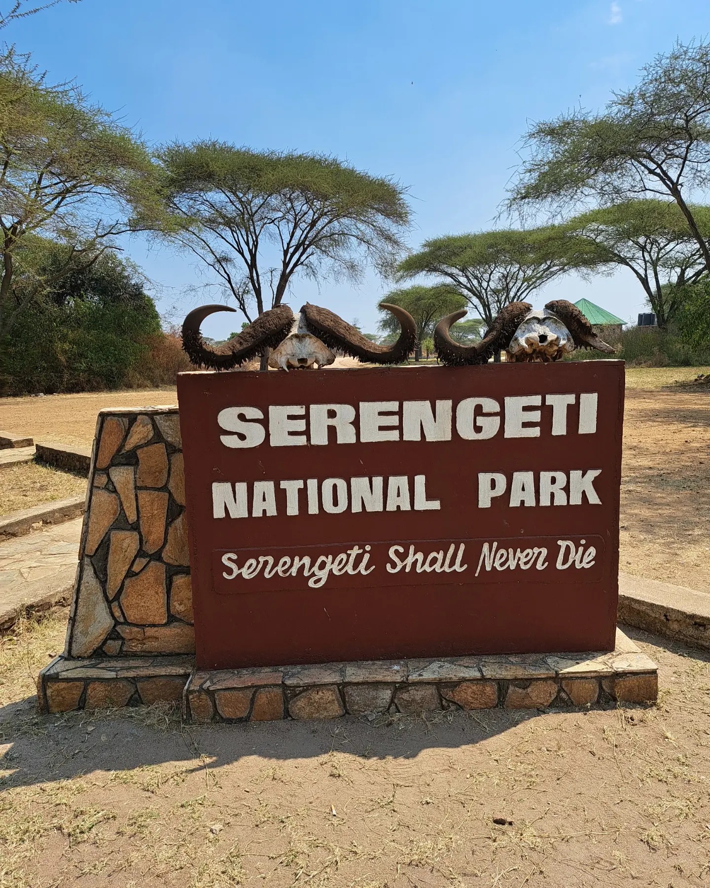 Serengeti 1